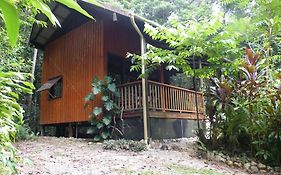 Epiphyte B & B